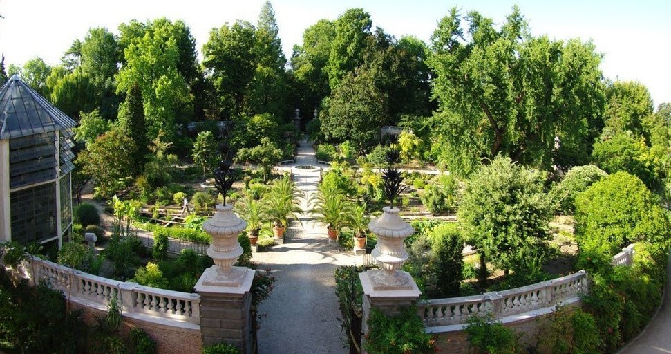 University of Padua Botanical Garden, Padua, Italy, Italy